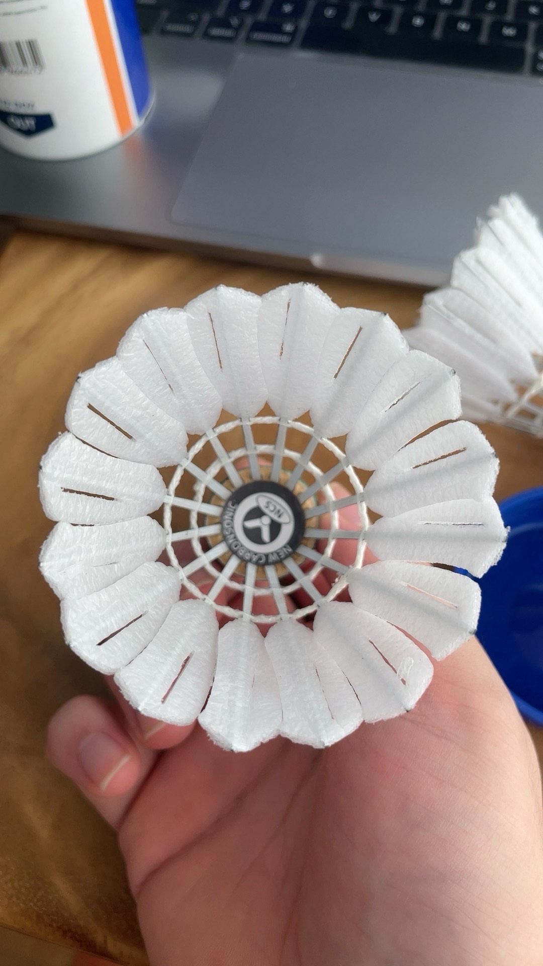 落的背后原 落的背后原